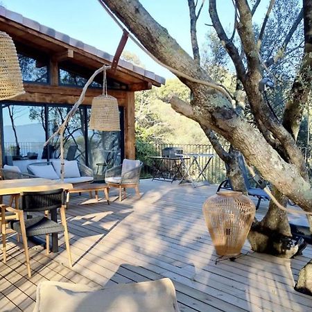Residence Licciola Propriano  Dış mekan fotoğraf